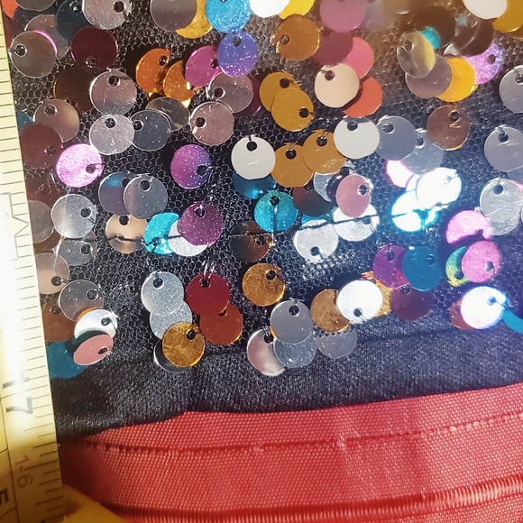 Sequin Skirt - Picture 5 of 5